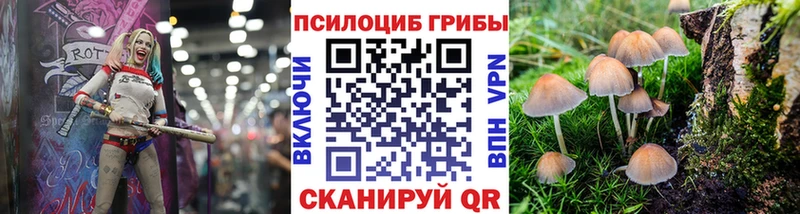 где купить наркотик  Знаменск  Псилоцибиновые грибы Cubensis 