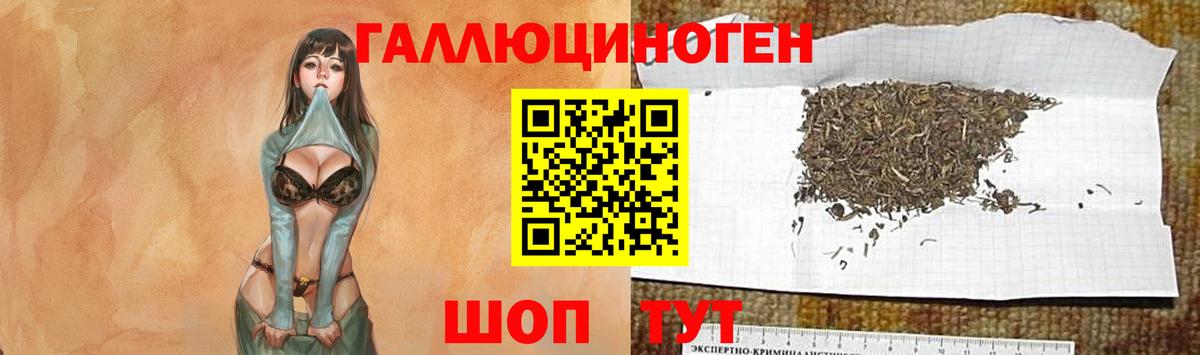 Псилоцибиновые грибы мухоморы Знаменск