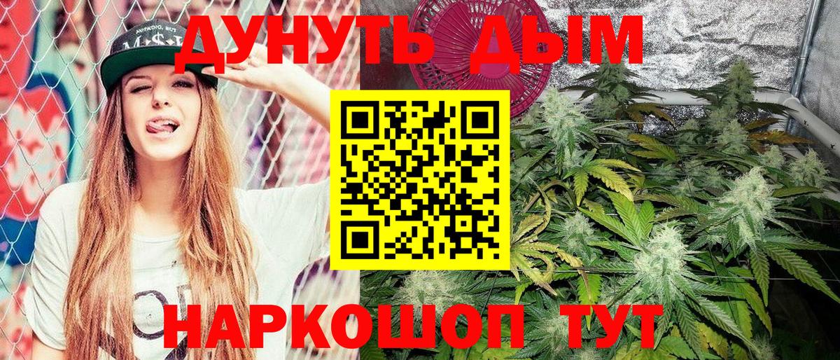 Бошки марихуана марихуана Знаменск